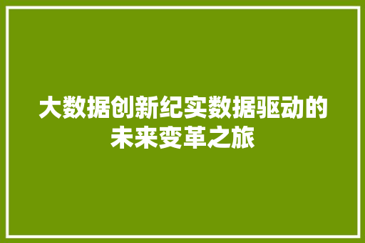大数据创新纪实数据驱动的未来变革之旅