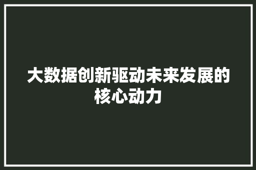 大数据创新驱动未来发展的核心动力