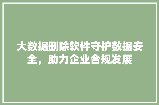 大数据删除软件守护数据安全，助力企业合规发展