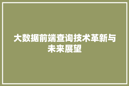 大数据前端查询技术革新与未来展望