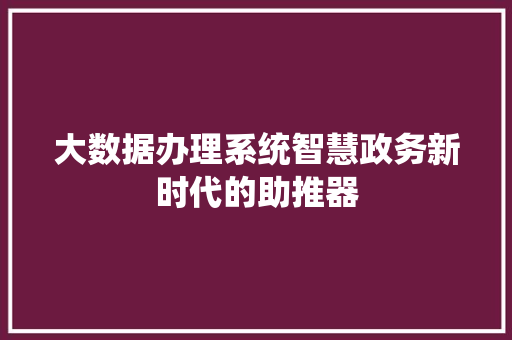 大数据办理系统智慧政务新时代的助推器