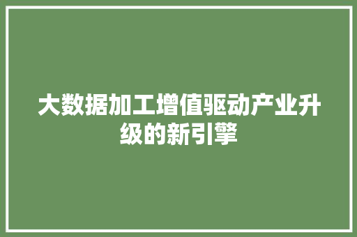 大数据加工增值驱动产业升级的新引擎