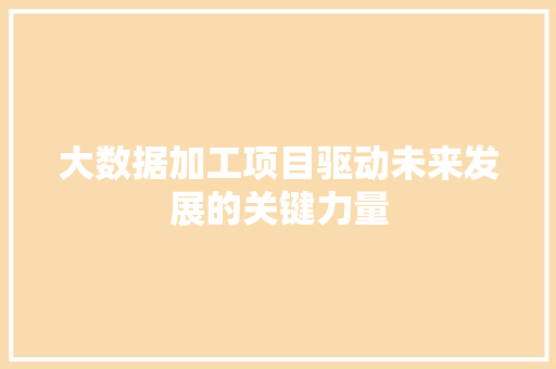 大数据加工项目驱动未来发展的关键力量 服务器/数据库