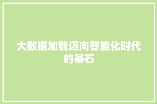 大数据加载迈向智能化时代的基石 友链在线