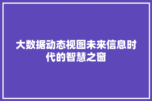 大数据动态视图未来信息时代的智慧之窗