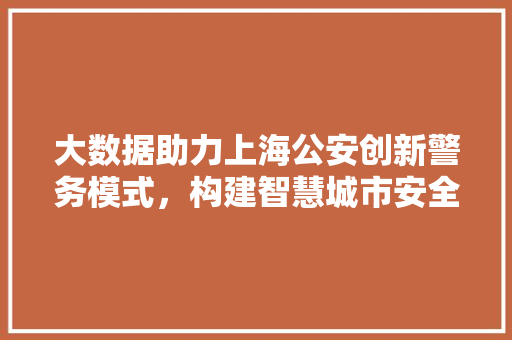 大数据助力上海公安创新警务模式，构建智慧城市安全屏障
