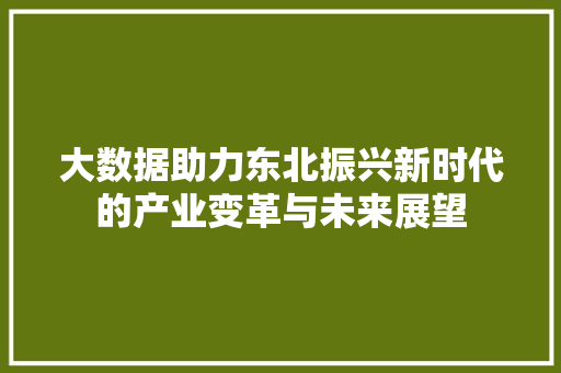 大数据助力东北振兴新时代的产业变革与未来展望