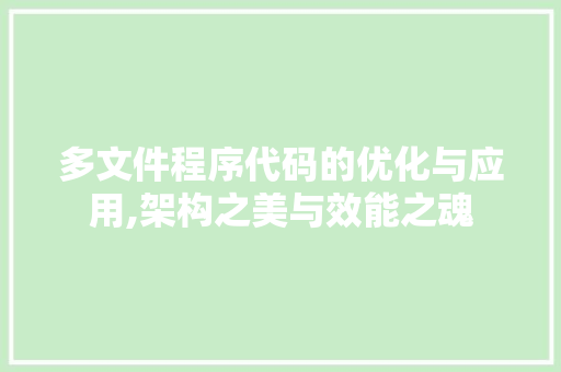 多文件程序代码的优化与应用,架构之美与效能之魂