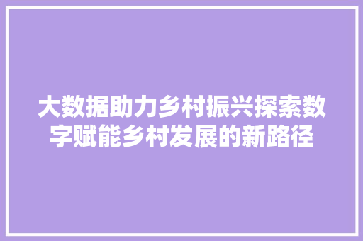 大数据助力乡村振兴探索数字赋能乡村发展的新路径
