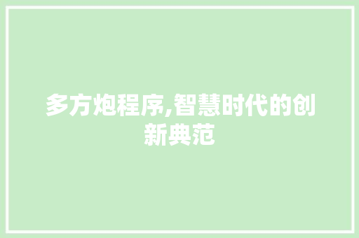 多方炮程序,智慧时代的创新典范