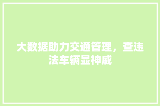 大数据助力交通管理，查违法车辆显神威