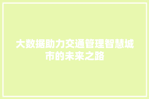 大数据助力交通管理智慧城市的未来之路