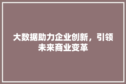 大数据助力企业创新，引领未来商业变革