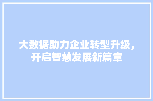 大数据助力企业转型升级，开启智慧发展新篇章