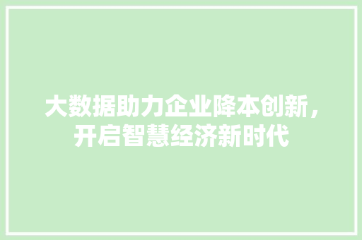 大数据助力企业降本创新，开启智慧经济新时代