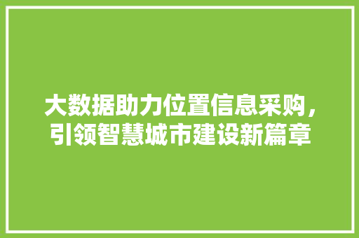 大数据助力位置信息采购，引领智慧城市建设新篇章