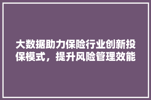 大数据助力保险行业创新投保模式，提升风险管理效能