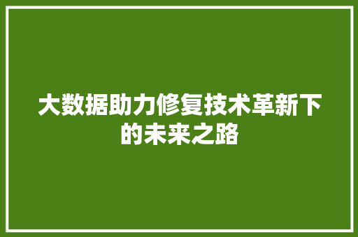 大数据助力修复技术革新下的未来之路