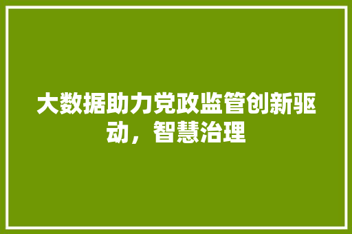 大数据助力党政监管创新驱动，智慧治理