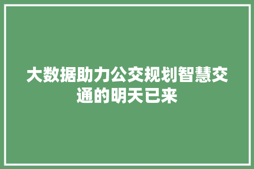 大数据助力公交规划智慧交通的明天已来