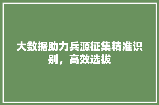大数据助力兵源征集精准识别，高效选拔