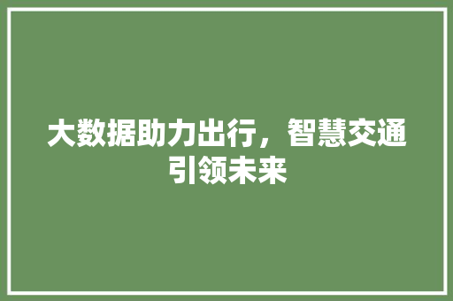 大数据助力出行，智慧交通引领未来