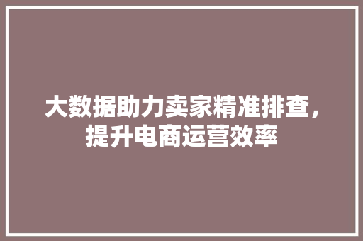 大数据助力卖家精准排查，提升电商运营效率