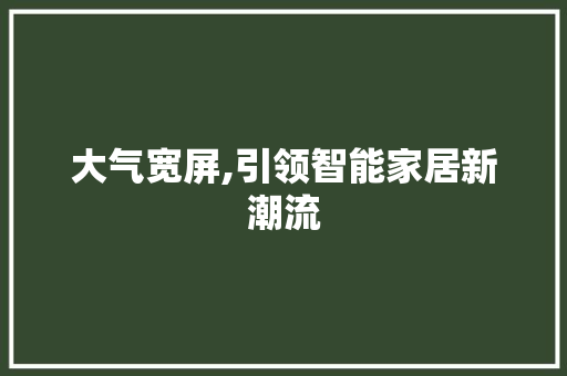 大气宽屏,引领智能家居新潮流