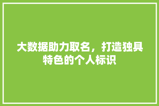 大数据助力取名，打造独具特色的个人标识