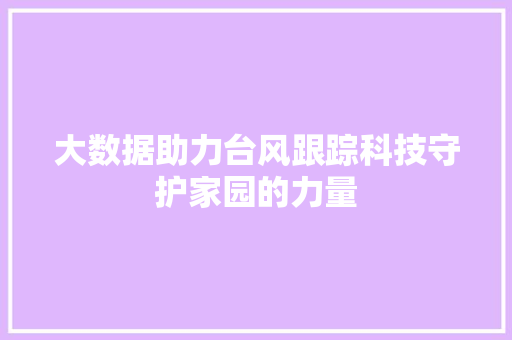 大数据助力台风跟踪科技守护家园的力量