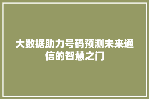 大数据助力号码预测未来通信的智慧之门