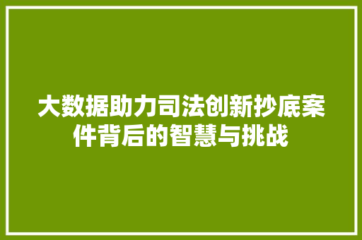 大数据助力司法创新抄底案件背后的智慧与挑战