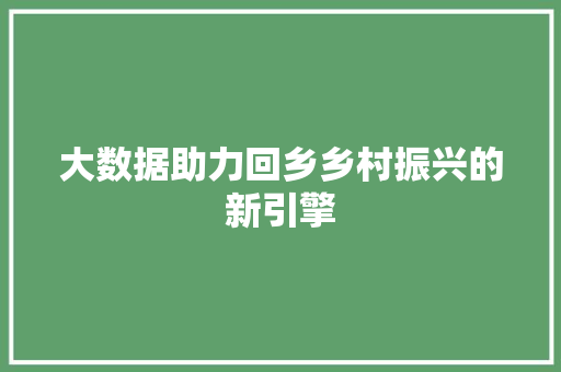 大数据助力回乡乡村振兴的新引擎