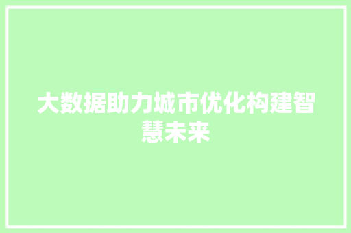 大数据助力城市优化构建智慧未来