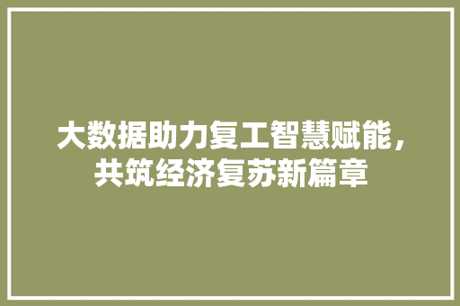 大数据助力复工智慧赋能，共筑经济复苏新篇章