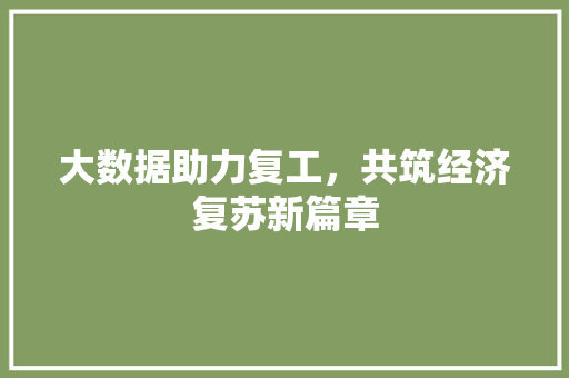 大数据助力复工，共筑经济复苏新篇章