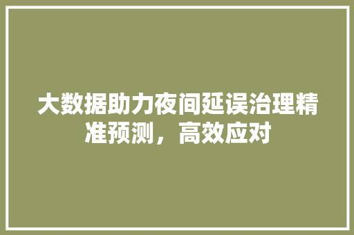 大数据助力夜间延误治理精准预测，高效应对
