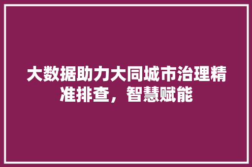 大数据助力大同城市治理精准排查，智慧赋能