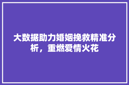 大数据助力婚姻挽救精准分析，重燃爱情火花