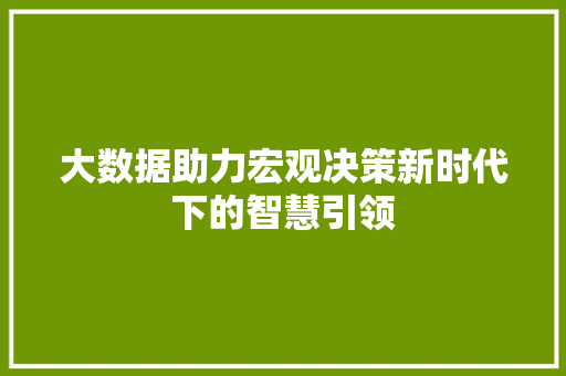 大数据助力宏观决策新时代下的智慧引领