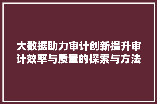 大数据助力审计创新提升审计效率与质量的探索与方法