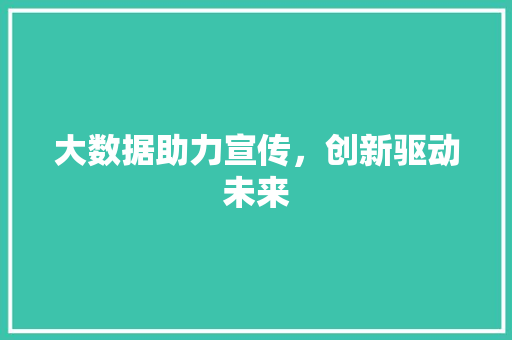 大数据助力宣传，创新驱动未来