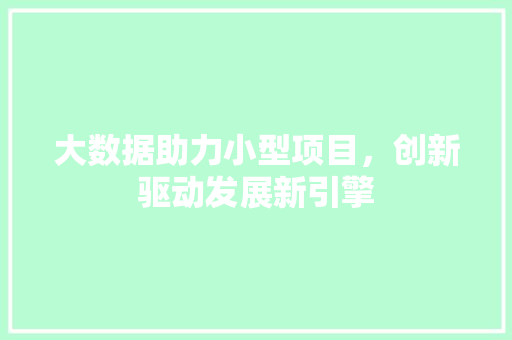 大数据助力小型项目，创新驱动发展新引擎