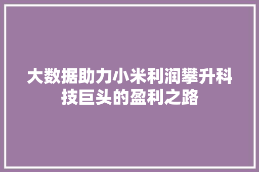 大数据助力小米利润攀升科技巨头的盈利之路