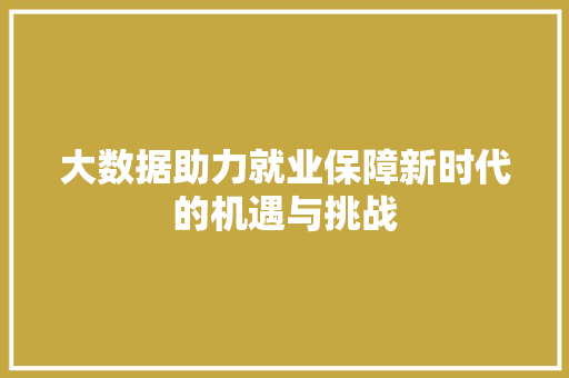 大数据助力就业保障新时代的机遇与挑战