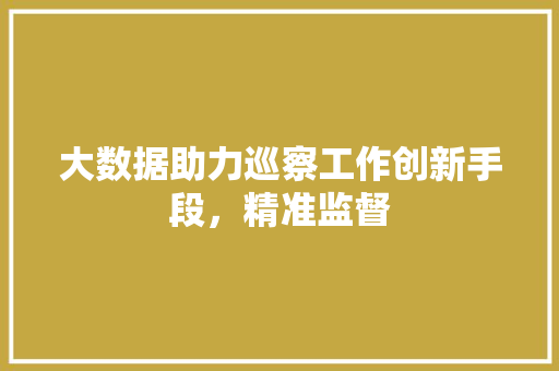 大数据助力巡察工作创新手段，精准监督