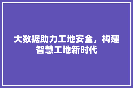 大数据助力工地安全，构建智慧工地新时代