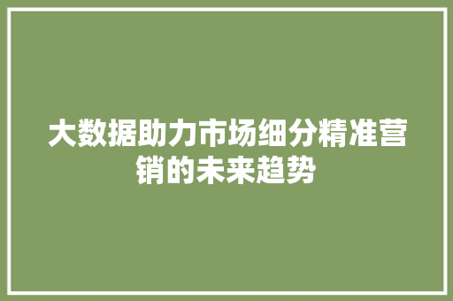 大数据助力市场细分精准营销的未来趋势