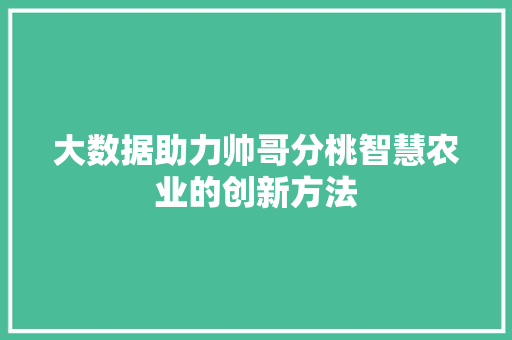 大数据助力帅哥分桃智慧农业的创新方法