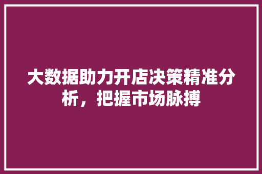 大数据助力开店决策精准分析，把握市场脉搏